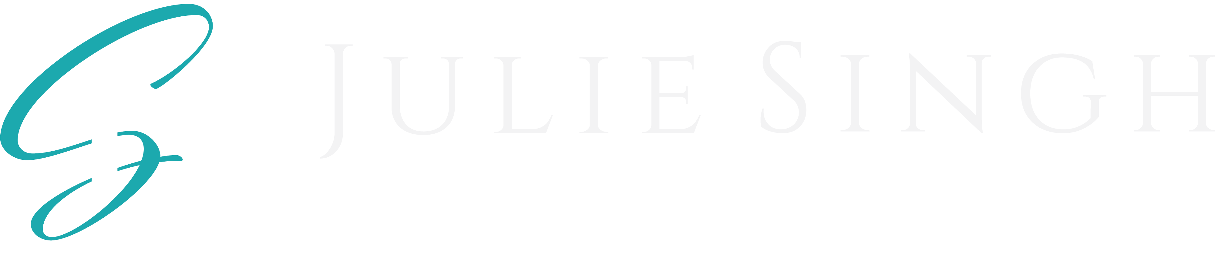 Julie Singh Secondary Logo